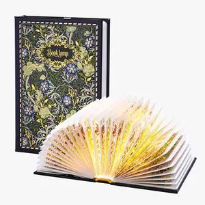 Book Lamp Decor, Gift for Book Lovers, Rechargeable Book Light | Reading Light, Portable Paper Lamp with Touch Control, Decor for Home Library Bookshelf, Gift for Women Readers (Black) Book Lamp Decor, Gift for Book Lovers, Rechargeable Book Light | Reading Light, Portable Paper Lamp with Touch Control, Decor for Home Library Bookshelf, Gift for Women Readers (Black)