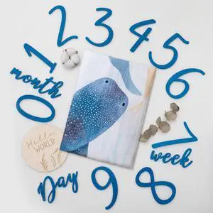 Ocean Baby Milestone Blanket Monthly Baby Milestone Photo Prop for Boy, Under The Sea Growth Tracker Blanket with Hello World Sign and Registry Must-Have Ocean Baby Milestone Blanket Monthly Baby Milestone Photo Prop for Boy, Under The Sea Growth Tracker Blanket with Hello World Sign and Registry Must-Have