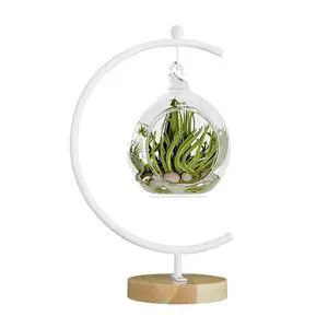Big Ornament Display Stand, Iron Pothook Stand for Hanging Glass Globe, Air Plant Terrarium, Witch Ball, Christmas Ornament and Home Wedding Decoration Big Ornament Display Stand, Iron Pothook Stand for Hanging Glass Globe, Air Plant Terrarium, Witch Ball, Christmas Ornament and Home Wedding Decoration