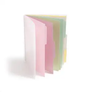 Poly Project Organizer, 6 Tabs, 12 Pockets, Letter Size, Pastel (89208) (Pack of 1) Poly Project Organizer, 6 Tabs, 12 Pockets, Letter Size, Pastel (89208) (Pack of 1)