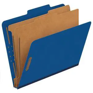 Classification File Folders,1 Divider, Durable File Organizer for Home, School or Office, Letter-Size Folders for Files, Paper Organizer, Durable Prongs, (B006NVMJCC) Classification File Folders,1 Divider, Durable File Organizer for Home, School or Office, Letter-Size Folders for Files, Paper Organizer, Durable Prongs, (B006NVMJCC)