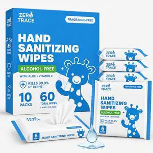 Pocket Hand Sanitizer Wipes Alcohol-Free & Fragrance-Free Kills 99.9% of Germs Safe for Kids & Sensitive Skin Travel Wipes 60 Count (10 Packs of 6) TSA Approved Pocket Hand Sanitizer Wipes Alcohol-Free & Fragrance-Free Kills 99.9% of Germs Safe for Kids & Sensitive Skin Travel Wipes 60 Count (10 Packs of 6) TSA Approved