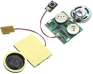 Recordable Sound Module Programmable Sound Chip For Greeting Card USB Charging Voice Board For DIY Toys Creative Gifts Recordable Sound Module Programmable Sound Chip For Greeting Card USB Charging Voice Board For DIY Toys Creative Gifts