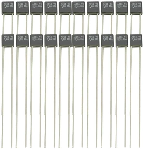 10Pcs 250V 2A RH115 115C Double Lead Temperature Control Thermal Fuse 10Pcs 250V 2A RH115 115C Double Lead Temperature Control Thermal Fuse