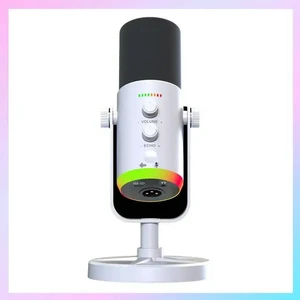 RGB Gaming Microphone USB Dynamic Computer Condenser MIC For Podcast Live Streaming Gaming White RGB Gaming Microphone USB Dynamic Computer Condenser MIC For Podcast Live Streaming Gaming White