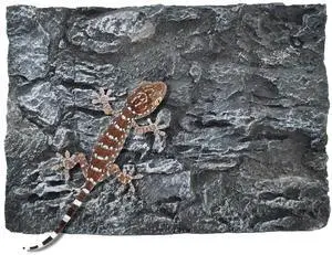 Reptile Tank Background Board Rock Terrarium Cork Background Board 3D Wall Backdrop Aquarium DéCor Backgrounds Amphibian Habitat Decoration for Lizards Leopard Gecko Bearded Dragons Turtle Reptile Tank Background Board Rock Terrarium Cork Background Board 3D Wall Backdrop Aquarium DéCor Backgrounds Amphibian Habitat Decoration for Lizards Leopard Gecko Bearded Dragons Turtle