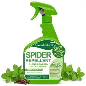 Spider Repellent Natural Peppermint Oil Spider Spray for Indoor & Outdoor Use Spider Killer & Repellent for Home Safe Around Kids & Pets Pest Control Solution (16oz) Spider Repellent Natural Peppermint Oil Spider Spray for Indoor & Outdoor Use Spider Killer & Repellent for Home Safe Around Kids & Pets Pest Control Solution (16oz)