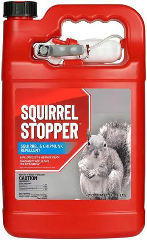 Squirrel Stopper Repellent Spray - Chipmunk & Squirrel Deterrent for Bird Feeders, Garden & Homes - Weather-Resistant Formula - Scent, Taste & Touch Barrier - Safe Around Kids & Pets - 1 Gallon Squirrel Stopper Repellent Spray - Chipmunk & Squirrel Deterrent for Bird Feeders, Garden & Homes - Weather-Resistant Formula - Scent, Taste & Touch Barrier - Safe Around Kids & Pets - 1 Gallon