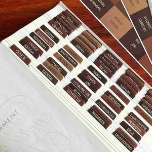 Reposition Laminated Bible Tabs, Large Print Stickers, Easy to Read & Apply Bible Tabs for Women & Man (Earthy Brown) Reposition Laminated Bible Tabs, Large Print Stickers, Easy to Read & Apply Bible Tabs for Women & Man (Earthy Brown)