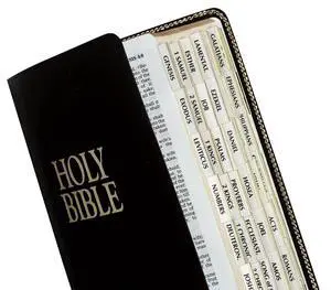 Gold-Edged Bible Indexing Tabs, Old & New Testament, 80 Tabs Including 64 Books & 16 Reference Tabs (58331) Gold-Edged Bible Indexing Tabs, Old & New Testament, 80 Tabs Including 64 Books & 16 Reference Tabs (58331)