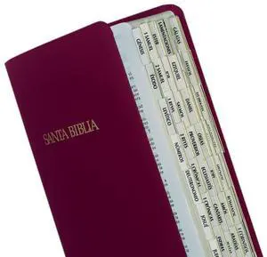 Spanish Gold-Edged Bible Tabs, Old & New Testament + Catholic Books, 90 Self-Adhesive Spanish Index Tabs, Easy-to-Read Book Labels for Study Bibles, 71 Books & 19 References, Positioning Guide Spanish Gold-Edged Bible Tabs, Old & New Testament + Catholic Books, 90 Self-Adhesive Spanish Index Tabs, Easy-to-Read Book Labels for Study Bibles, 71 Books & 19 References, Positioning Guide