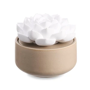 1 Pcs Ceramic Essential Oil Diffuser, Non Electric,Succulent | Decorative Floral Home Fragrance Decor, No Noise, Home & Office Tabletop Decor for Desk, Bathroom, Bedroom, Birthday, Wedding 1 Pcs Ceramic Essential Oil Diffuser, Non Electric,Succulent | Decorative Floral Home Fragrance Decor, No Noise, Home & Office Tabletop Decor for Desk, Bathroom, Bedroom, Birthday, Wedding