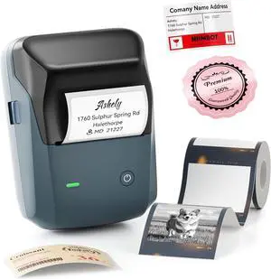 NIIMBOT B1 Pro Label Maker with 1 Label, 300 DPI Thermal Label Printer NIIMBOT B1 Pro Label Maker with 1 Label, 300 DPI Thermal Label Printer