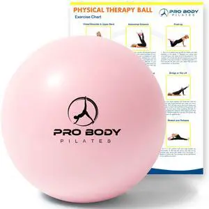 Ball Small - 9 Inch Physical Therapy Ball (Rose) | PT-Grade Anti-Burst PVC, Between-Knees Stability, Postpartum & Rehab, Small Exercise Ball, Inflator Ball Small - 9 Inch Physical Therapy Ball (Rose) | PT-Grade Anti-Burst PVC, Between-Knees Stability, Postpartum & Rehab, Small Exercise Ball, Inflator