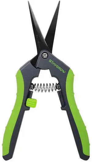 6.5" Straight Pruning Shears for Gardening Plant Trimming Scissors | Sharp Plant Snips for Precise Cuts, Stainless Steel Garden Scissors Bonsai Clippers Garden Pruner Shears (1-Pack Straight) 6.5" Straight Pruning Shears for Gardening Plant Trimming Scissors | Sharp Plant Snips for Precise Cuts, Stainless Steel Garden Scissors Bonsai Clippers Garden Pruner Shears (1-Pack Straight)