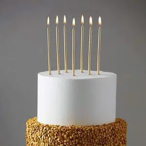 24 Count Party Long Thin Cake Candles Metallic Birthday Candles in Holders for Birthday Cakes Cupcake, Champagne Gold 24 Count Party Long Thin Cake Candles Metallic Birthday Candles in Holders for Birthday Cakes Cupcake, Champagne Gold