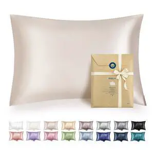 Satin Pillowcase with Zipper, Similar to Silk Pillow Cases 2 Pack, Beige Standard Size Satin Pillow Case, Silky & Soft Pillow Covers, Valentines Day Gifts for Women Men, 20x26 Inches Satin Pillowcase with Zipper, Similar to Silk Pillow Cases 2 Pack, Beige Standard Size Satin Pillow Case, Silky & Soft Pillow Covers, Valentines Day Gifts for Women Men, 20x26 Inches