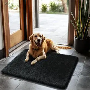 2x3 Area Rugs for Bedroom,Black Small Fluffy Shag Rug | Non-Shedding Fuzzy Rug ,Indoor Plush Carpet for Living Room Dorm Home Decor 2x3 Area Rugs for Bedroom,Black Small Fluffy Shag Rug | Non-Shedding Fuzzy Rug ,Indoor Plush Carpet for Living Room Dorm Home Decor
