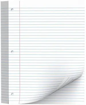 130 Sheets Loose Leaf Paper College Ruled Notebook Paper 8 x 10.5 In White 130 Sheets Loose Leaf Paper College Ruled Notebook Paper 8 x 10.5 In White