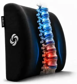 Lumbar Support Pillow for Office Chair and Car Seat, Perfectly Balanced Memory Foam, Versatile Lower Back Cushion, Black Plush Lumbar Support Pillow for Office Chair and Car Seat, Perfectly Balanced Memory Foam, Versatile Lower Back Cushion, Black Plush