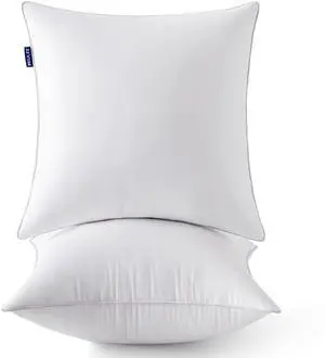 20 x 20 Pillow Inserts (Set of 2) -Throw Pillows for Couch Sofa with 100% Cotton Covers 20 x 20 Pillow Inserts (Set of 2) -Throw Pillows for Couch Sofa with 100% Cotton Covers