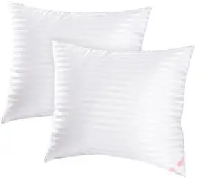 Throw Pillow Inserts, Machine Washable Pillows,Premium Polyester Fiber Fill for Sofa Bed & Decorative Cushions (White, 20x20inch) Throw Pillow Inserts, Machine Washable Pillows,Premium Polyester Fiber Fill for Sofa Bed & Decorative Cushions (White, 20x20inch)