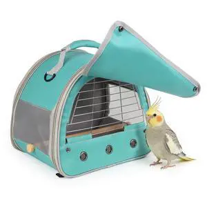 Bird Travel Carrier Cage, with Stainless Steel Metal Window and Wood Perch, Portable Bag for Cockatiel Parakeet Conure Green Cheek Budgie (Green, Steel Window) Bird Travel Carrier Cage, with Stainless Steel Metal Window and Wood Perch, Portable Bag for Cockatiel Parakeet Conure Green Cheek Budgie (Green, Steel Window)