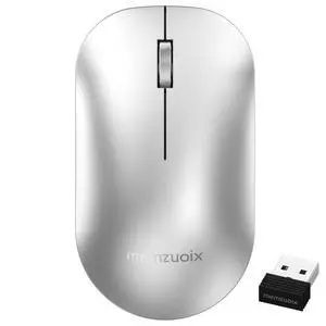 2.4GHz Wireless Mouse, Silent Click Portable Mouse with 1600 DPI Precision Optical Sensor, USB Receiver, Plug and Play Compact Mouse for PC, Laptop, MacBook, Chromebook, Chrome OS, Silver 2.4GHz Wireless Mouse, Silent Click Portable Mouse with 1600 DPI Precision Optical Sensor, USB Receiver, Plug and Play Compact Mouse for PC, Laptop, MacBook, Chromebook, Chrome OS, Silver