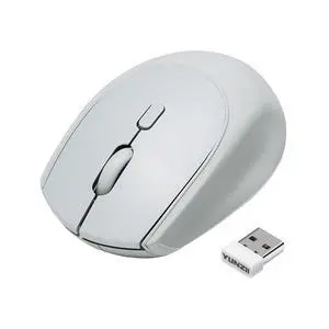 C2 Silicone Wireless Mouse 1600 DPI Optical 2.4GHz (Gray) C2 Silicone Wireless Mouse 1600 DPI Optical 2.4GHz (Gray)