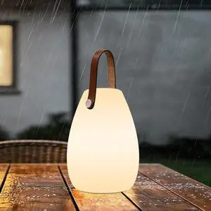 Rechargeable Portable Table Lamp with Remote Rechargeable Portable Table Lamp with Remote