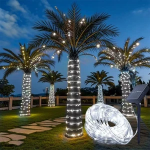 Solar Rope Light 33FT 100LED IP65 Waterproof Outdoor LED Copper Fairy String Tube Lights for Party Gazebo Garden Patio Stair Balcony Fence Tree Daily Christmas Decoration (Solar-Cold White) Solar Rope Light 33FT 100LED IP65 Waterproof Outdoor LED Copper Fairy String Tube Lights for Party Gazebo Garden Patio Stair Balcony Fence Tree Daily Christmas Decoration (Solar-Cold White)