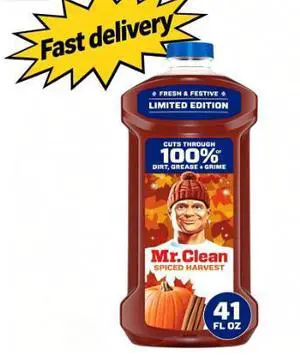 Mr. Clean All Purpose Cleaner, Floor Cleaner, Mop Soap, Cleaning Liquid, Spiced Harvest, Pumpkin, 41 fl oz Mr. Clean All Purpose Cleaner, Floor Cleaner, Mop Soap, Cleaning Liquid, Spiced Harvest, Pumpkin, 41 fl oz
