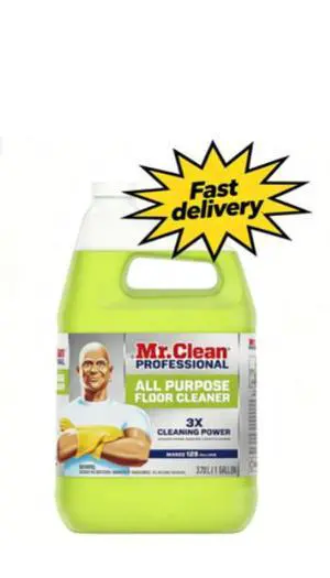 Mr. Clean Professional All Purpose Floor Cleaner, 1 Gallon Mr. Clean Professional All Purpose Floor Cleaner, 1 Gallon