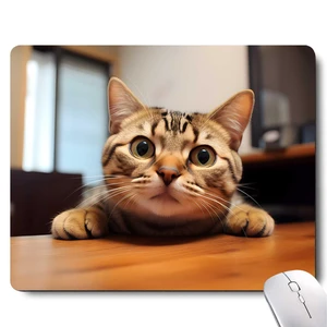 Cute Cat Square Mouse Pads for Wireless Mouse,Small Office Computer Mousepad for Desk Laptop,Non-Slip Rubber Base Mouse Pads for Desk Laptop Computer Cute Cat Square Mouse Pads for Wireless Mouse,Small Office Computer Mousepad for Desk Laptop,Non-Slip Rubber Base Mouse Pads for Desk Laptop Computer
