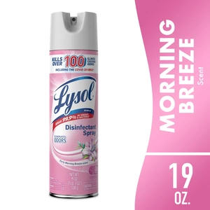 Lysol Disinfectant Bathroom Spray, Early Morning Breeze, 19oz Lysol Disinfectant Bathroom Spray, Early Morning Breeze, 19oz