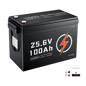 VEVOR 24V 100Ah LiFePO4 Lithium Battery 4000+ Cycles Built-in 100A BMS, Lithium Battery with Low Temperature Protection, Supports 8P2S Connection, 2560Wh Energy, for RV, Trolling Motor, Marine, Solar VEVOR 24V 100Ah LiFePO4 Lithium Battery 4000+ Cycles Built-in 100A BMS, Lithium Battery with Low Temperature Protection, Supports 8P2S Connection, 2560Wh Energy, for RV, Trolling Motor, Marine, Solar