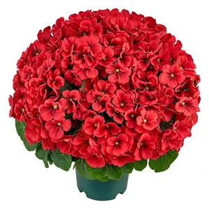 VEVOR Artificial Potted Geraniums 20 in 2-Pack Fake Flower Plants Decor Red, for Porch, Patio, Entryway, & Home Decor, Indoor & Outdoor Use, Silk and PE Blooms in Pots, Ready to Display Faux Plants VEVOR Artificial Potted Geraniums 20 in 2-Pack Fake Flower Plants Decor Red, for Porch, Patio, Entryway, & Home Decor, Indoor & Outdoor Use, Silk and PE Blooms in Pots, Ready to Display Faux Plants