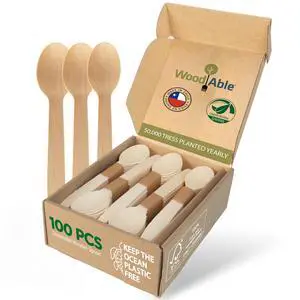Wooden Spoons, 100 Pack, 6.5 Inch, Bamboo Utensils Alternative | Disposable compostable utensils with FSC-certified wood, plastic-free packaging and a backyard-compostable design Wooden Spoons, 100 Pack, 6.5 Inch, Bamboo Utensils Alternative | Disposable compostable utensils with FSC-certified wood, plastic-free packaging and a backyard-compostable design