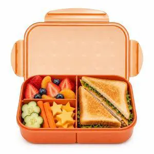 Bento Lunch Box for Kids, 1150ml, 3 Compartments, Coral Orange | Coral orange 1150ml kids bento box for school lunch, daycare meals, snacks, picnic, and travel. Bento Lunch Box for Kids, 1150ml, 3 Compartments, Coral Orange | Coral orange 1150ml kids bento box for school lunch, daycare meals, snacks, picnic, and travel.