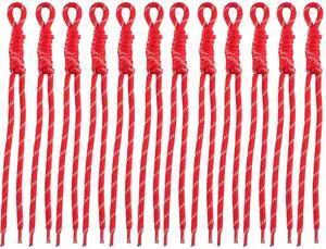 Paracord Keychain Paracord Bag Charm 12pcs Braided Nylon Rope Keychain Cord for Bag Purse Backpack Handbag (Red) Paracord Keychain Paracord Bag Charm 12pcs Braided Nylon Rope Keychain Cord for Bag Purse Backpack Handbag (Red)