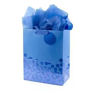 13" Large Gift Bag with Tissue Paper (Blue Foil Dots) 13" Large Gift Bag with Tissue Paper (Blue Foil Dots)