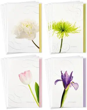 Assorted Sympathy Cards (Flowers, 12 Cards and Envelopes) Assorted Sympathy Cards (Flowers, 12 Cards and Envelopes)
