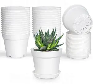 28 Pack 4 inch Small Plant Pots, Plastic Planters with Drainage Holes and Saucers for Flowers Plants, Succulents, Seed Starting Pots, White 28 Pack 4 inch Small Plant Pots, Plastic Planters with Drainage Holes and Saucers for Flowers Plants, Succulents, Seed Starting Pots, White