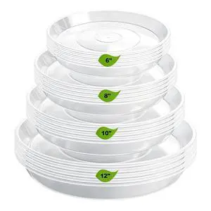 20 Pack Plant Saucer Tray (6 8 10 12 inch), Plant Saucers for Indoors Outdoor, Plastic Heavy Duty Drainage Drip Water Trays for Planter Pots Flower, Clear Pot Saucers Trays for Plants 20 Pack Plant Saucer Tray (6 8 10 12 inch), Plant Saucers for Indoors Outdoor, Plastic Heavy Duty Drainage Drip Water Trays for Planter Pots Flower, Clear Pot Saucers Trays for Plants