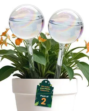 Iridescent Self Watering Globes, Glass Rainbow Plant Watering Globes, Self Watering Planter Insert, Automatic Plant Waterer Indoor (Medium-2 Pcs Iridescent, Medium) Iridescent Self Watering Globes, Glass Rainbow Plant Watering Globes, Self Watering Planter Insert, Automatic Plant Waterer Indoor (Medium-2 Pcs Iridescent, Medium)