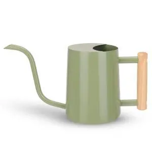 Metal Watering Can for Indoor Plants, 35oz Sage Green Cute Stainless Steel Pot with Long Spout for Indoor House Plants Bonsai Outdoor Garden Flower Decorative Metal Watering Can for Indoor Plants, 35oz Sage Green Cute Stainless Steel Pot with Long Spout for Indoor House Plants Bonsai Outdoor Garden Flower Decorative