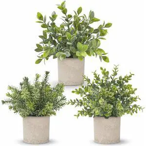 3 Pack Fake Plants Artificial Plants for Office Bathroom Decor | Sage green frosted eucalyptus, pet and child safe, maintenance-free, desk shelf kitchen bedroom coffee table farmhouse decor 3 Pack Fake Plants Artificial Plants for Office Bathroom Decor | Sage green frosted eucalyptus, pet and child safe, maintenance-free, desk shelf kitchen bedroom coffee table farmhouse decor