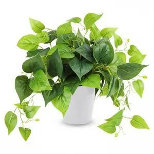 Artificial Plants Fake Pothos with Plastic Pot Artificial Potted Plant for Home Office Bedroom Indoor Outdoor Decor 1 Pack Artificial Plants Fake Pothos with Plastic Pot Artificial Potted Plant for Home Office Bedroom Indoor Outdoor Decor 1 Pack