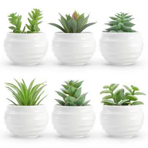 6 Pack Succulents Fake Plants for Bedroom Bathroom Home Decor | Palm-sized small fake plants,ideal for bedroom bathroom aesthetic living room decor,office desk accessories,gift for women 6 Pack Succulents Fake Plants for Bedroom Bathroom Home Decor | Palm-sized small fake plants,ideal for bedroom bathroom aesthetic living room decor,office desk accessories,gift for women