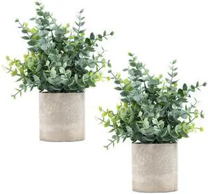 2 Pack Small Fake Plants Eucalyptus Potted,Sage Green | Small Space Artificial Plants for Bathroom Shelf Office Desk Home Farmhouse Room Coffee Table Tray Decor 2 Pack Small Fake Plants Eucalyptus Potted,Sage Green | Small Space Artificial Plants for Bathroom Shelf Office Desk Home Farmhouse Room Coffee Table Tray Decor